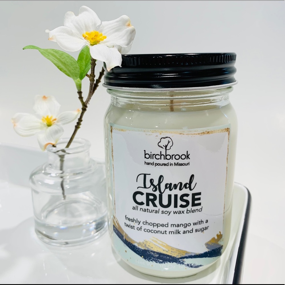 10 Oz Soy Candle - Island Cruise
